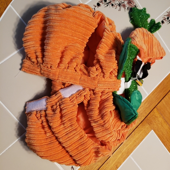 DOG COSTUME PUMPKIN - Picture 3 of 12
